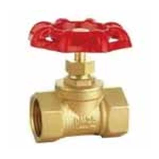 Gate Valve — IFANNova Series 2405 range