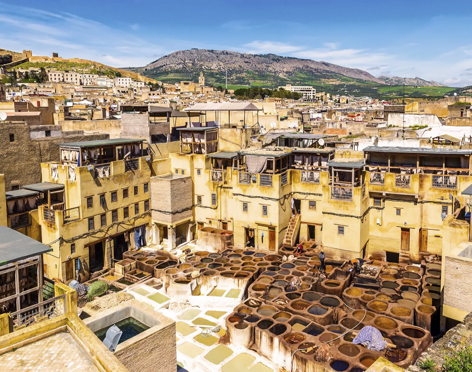 Fez, Morocco — the Moroccan market served by IFANNova